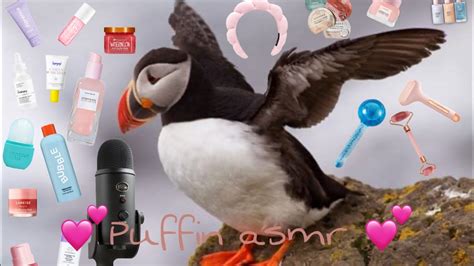 puffin asmr masturbating|Asmr Puffins Porn Videos .